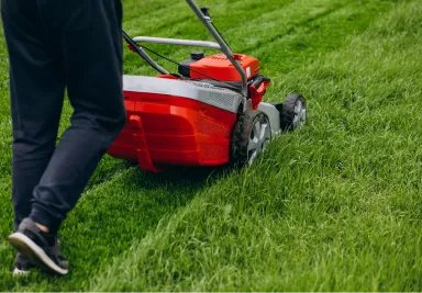 société de jardinage à casablanca et partout au Maroc