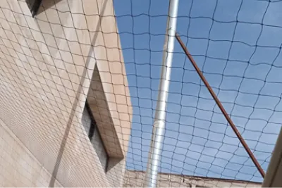 dépigeonnage à casablanca, rabat et partout au Maroc