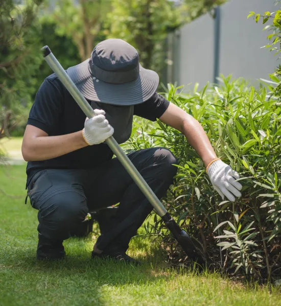 jardinier casablanca service de jardinage maroc